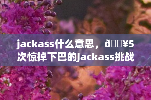 jackass什么意思,🔥5次惊掉下巴的Jackass挑战!肾上腺素狂飙后的深度反思 jackass什么意思,🔥5次惊掉下巴的Jackass挑战!肾上腺素狂飙后的深度反思