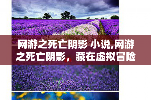 网游之死亡阴影 小说,网游之死亡阴影,藏在虚拟冒险里的网游文浪漫印记 网游之死亡阴影 小说,网游之死亡阴影,藏在虚拟冒险里的网游文浪漫印记