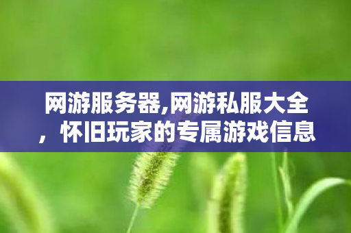 网游服务器,网游私服大全,怀旧玩家的专属游戏信息服务指南 网游服务器,网游私服大全,怀旧玩家的专属游戏信息服务指南