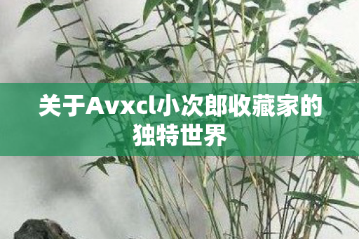 关于Avxcl小次郎收藏家的独特世界图片