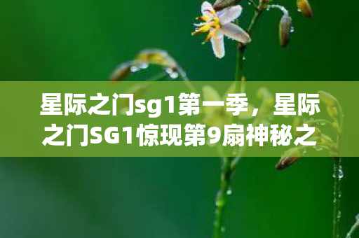 星际之门sg1第一季,星际之门SG1惊现第9扇神秘之门!背后藏何致命危机? 星际之门sg1第一季,星际之门SG1惊现第9扇神秘之门!背后藏何致命危机?