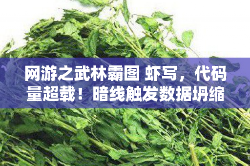 网游之武林霸图 虾写，代码量超载！暗线触发数据坍缩，玩家集体头皮发麻的赛博江湖