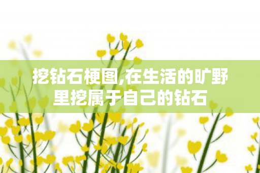 挖钻石梗图,在生活的旷野里挖属于自己的钻石 挖钻石梗图,在生活的旷野里挖属于自己的钻石