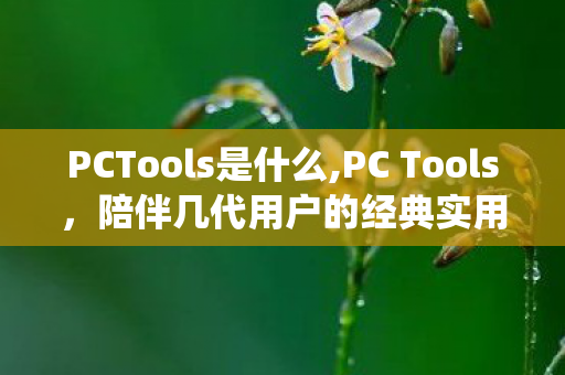 PCTools是什么,PC Tools,陪伴几代用户的经典实用系统工具合集 PCTools是什么,PC Tools,陪伴几代用户的经典实用系统工具合集
