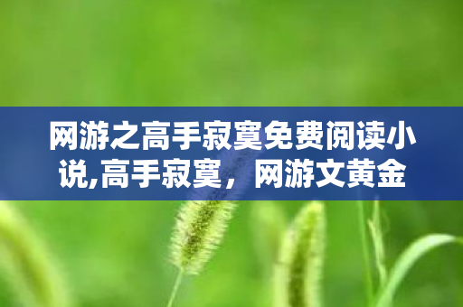 网游之高手寂寞免费阅读小说,高手寂寞，网游文黄金时代里的孤独行者之歌