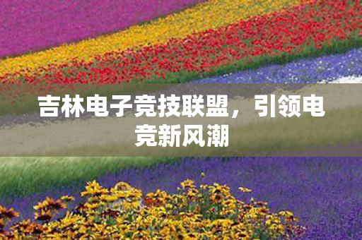 吉林电子竞技联盟图片