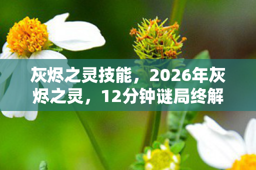 灰烬之灵技能,2026年灰烬之灵,12分钟谜局终解,泪目真相竟藏于灰烬深处 灰烬之灵技能,2026年灰烬之灵,12分钟谜局终解,泪目真相竟藏于灰烬深处