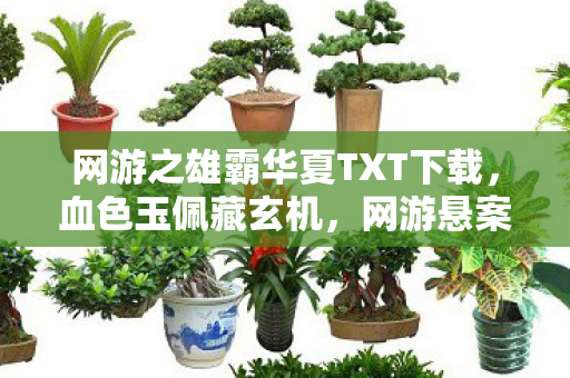 网游之雄霸华夏TXT下载，血色玉佩藏玄机，网游悬案十年谜，毛骨悚然真相隐