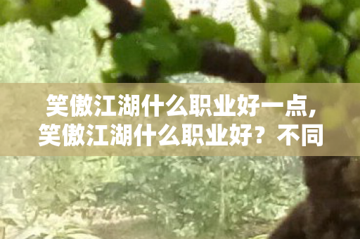 笑傲江湖什么职业好一点,笑傲江湖什么职业好？不同游玩需求下的高适配职业盘点