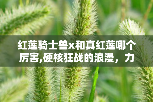 红莲骑士兽x和真红莲哪个厉害,硬核狂战的浪漫，力士单刷红莲保姆级实操心得分享
