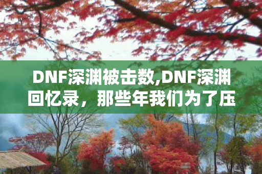 DNF深渊被击数,DNF深渊回忆录,那些年我们为了压被击数玩过的花活 DNF深渊被击数,DNF深渊回忆录,那些年我们为了压被击数玩过的花活