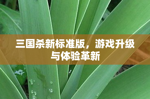 游戏升级与体验革新图片