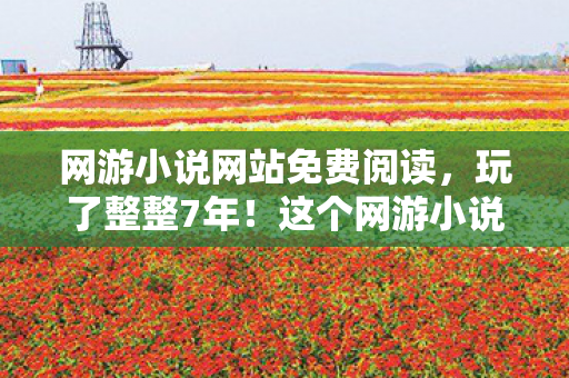 网游小说网站免费阅读，玩了整整7年！这个网游小说网站，我该继续坚守还是转身离开？