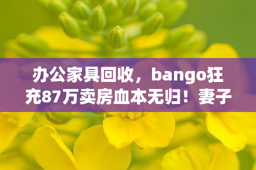 办公家具回收，bango狂充87万卖房血本无归！妻子怒签离婚协议，这操作吓我一跳