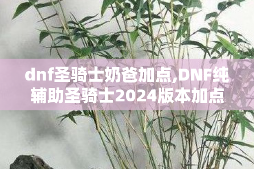 dnf圣骑士奶爸加点,DNF纯辅助圣骑士2024版本加点全指南，打造团本热门金牌奶