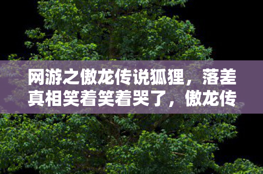 网游之傲龙传说狐狸，落差真相笑着笑着哭了，傲龙传说里，我骂遍世界却戒不掉登录键