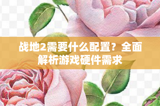 全面解析游戏硬件需求图片