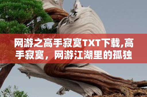 网游之高手寂寞TXT下载,高手寂寞,网游江湖里的孤独求索史诗 网游之高手寂寞TXT下载,高手寂寞,网游江湖里的孤独求索史诗