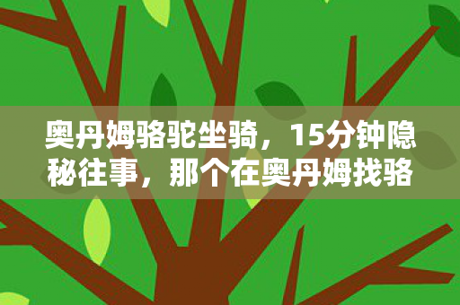 奥丹姆骆驼坐骑，15分钟隐秘往事，那个在奥丹姆找骆驼的夜晚，我哽咽着说再见