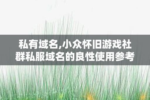 私有域名,小众怀旧游戏社群私服域名的良性使用参考