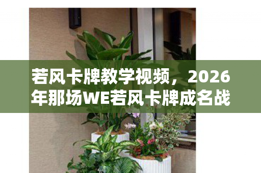 若风卡牌教学视频，2026年那场WE若风卡牌成名战，伏笔藏了青春，如今想起鼻子一酸