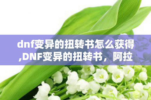 dnf变异的扭转书怎么获得,DNF变异的扭转书，阿拉德装备进阶路上的经典救星道具