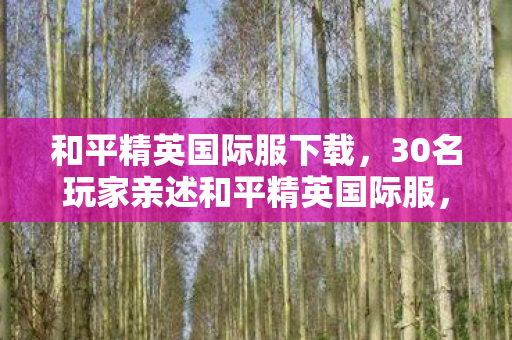 和平精英国际服下载，30名玩家亲述和平精英国际服，这3大疑点让我彻底绷不住了！