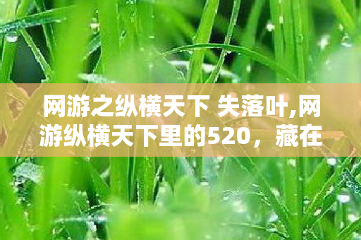 网游之纵横天下 失落叶,网游纵横天下里的520,藏在虚拟江湖的年少旧时光 网游之纵横天下 失落叶,网游纵横天下里的520,藏在虚拟江湖的年少旧时光