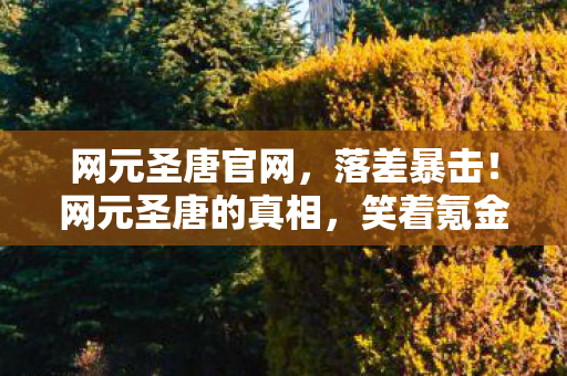 网元圣唐官网，落差暴击！网元圣唐的真相，笑着氪金笑着哭，这波韭菜割得我泪流满面