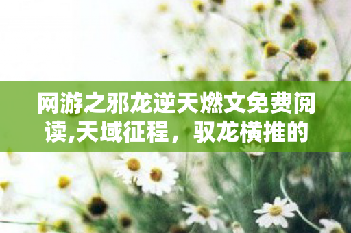 网游之邪龙逆天燃文免费阅读,天域征程，驭龙横推的网游热血传奇
