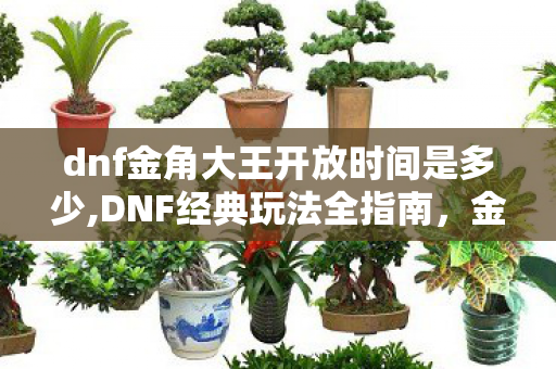 dnf金角大王开放时间是多少,DNF经典玩法全指南，金角大王开放时间与参与技巧分享