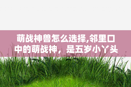 萌战神兽怎么选择,邻里口中的萌战神，是五岁小丫头的闪光日常