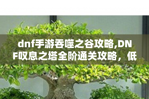 dnf手游吞噬之谷攻略,DNF叹息之塔全阶通关攻略,低练度也能轻松拿满奖励 dnf手游吞噬之谷攻略,DNF叹息之塔全阶通关攻略,低练度也能轻松拿满奖励