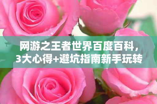 网游之王者世界百度百科，3大心得+避坑指南新手玩转网游之王者世界必看！