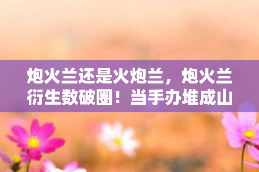 炮火兰还是火炮兰，炮火兰衍生数破圈！当手办堆成山时，我冰箱竟上演意想不到的饥饿革命