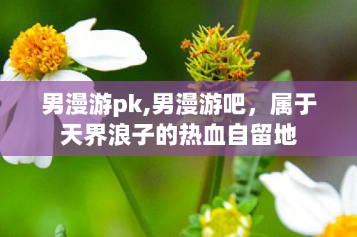 男漫游pk,男漫游吧，属于天界浪子的热血自留地