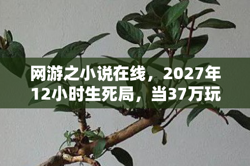 网游之小说在线，2027年12小时生死局，当37万玩家ID成为电子遗嘱，谁在敲响服务器棺材板？