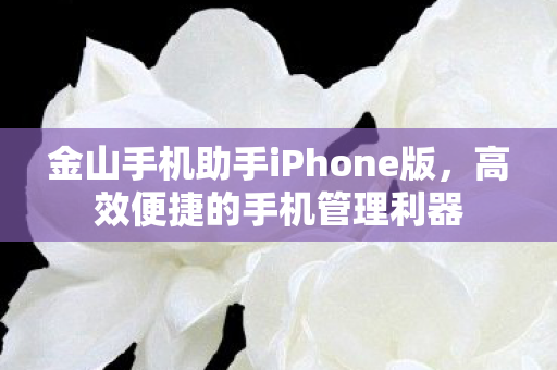 金山手机助手iPhone版图片