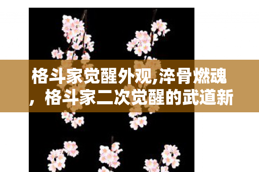 格斗家觉醒外观,淬骨燃魂,格斗家二次觉醒的武道新境 格斗家觉醒外观,淬骨燃魂,格斗家二次觉醒的武道新境