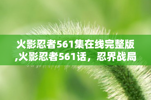 火影忍者561集在线完整版,火影忍者561话，忍界战局的拐点，宇智波斑的强势登场