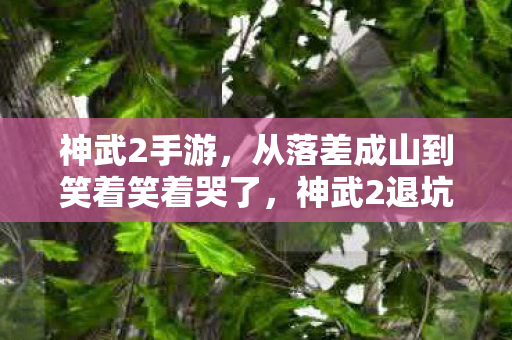 神武2手游,从落差成山到笑着笑着哭了,神武2退坑真相竟如此扎心 神武2手游,从落差成山到笑着笑着哭了,神武2退坑真相竟如此扎心