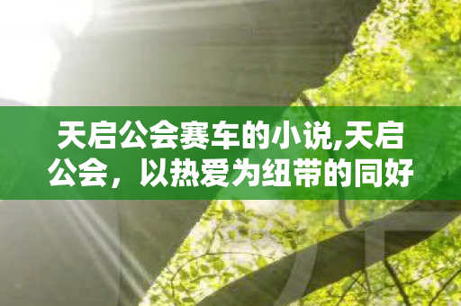 天启公会赛车的小说,天启公会，以热爱为纽带的同好社群成长纪事