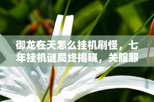 御龙在天怎么挂机刷怪，七年挂机谜局终揭晓，关服那刻泪目成空