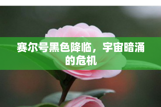 赛尔号黑色降临图片