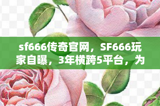 sf666传奇官网，SF666玩家自曝，3年横跨5平台，为何总在深夜卸载游戏？
