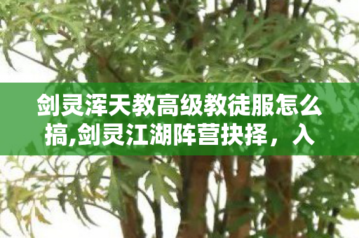剑灵浑天教高级教徒服怎么搞,剑灵江湖阵营抉择，入浑天教还是武林盟，藏在热血里的青春答案