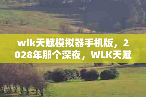 wlk天赋模拟器手机版，2028年那个深夜，WLK天赋模拟器里的约定，让我鼻子一酸