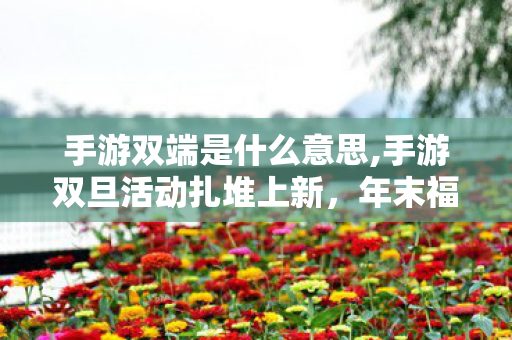 手游双端是什么意思,手游双旦活动扎堆上新,年末福利狂欢把节日仪式感拉满 手游双端是什么意思,手游双旦活动扎堆上新,年末福利狂欢把节日仪式感拉满
