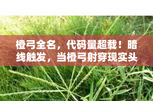 橙弓全名,代码量超载!暗线触发,当橙弓射穿现实头皮发麻的2027生存法则 橙弓全名,代码量超载!暗线触发,当橙弓射穿现实头皮发麻的2027生存法则