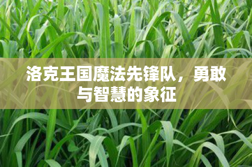 洛克王国魔法先锋队图片